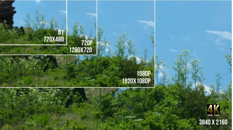 Comparaison de la résolution des caméras de sécurité, de la basse qualité à la 4K, montrant un paysage forestier.