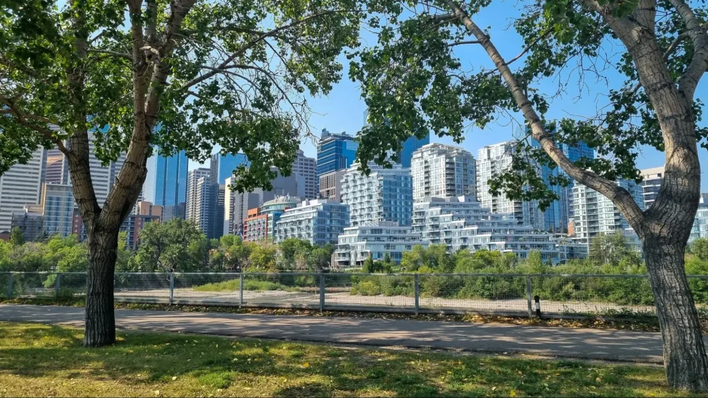 Vue de l'horizon de la ville de Calgary avec des arbres au premier plan.